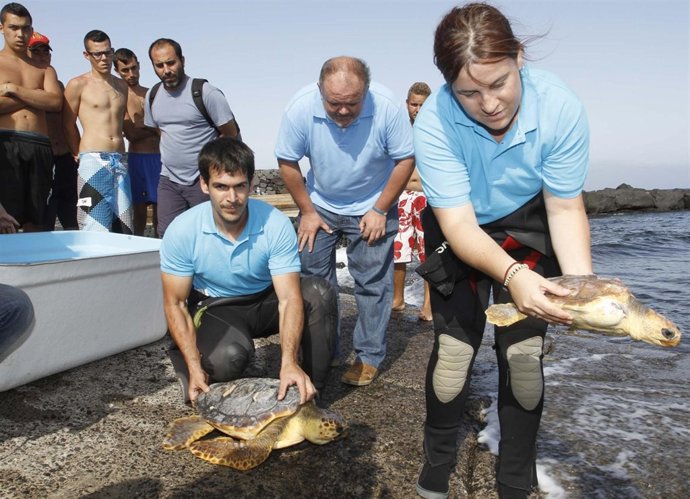 Las dos tortugas en el momento de ser soltadas