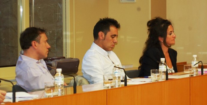 Parlamento grupo socialista en Comisión