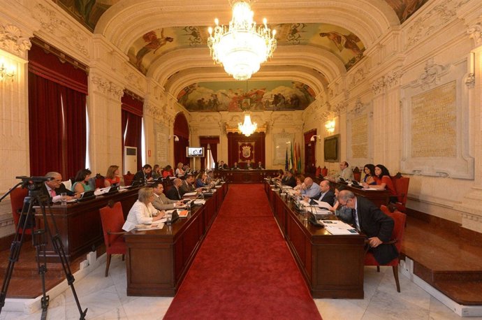 Pleno del ayto de Málaga