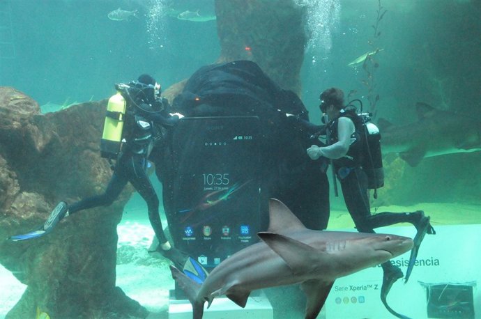 Los Xperia Z de Sony nadan entre tiburones