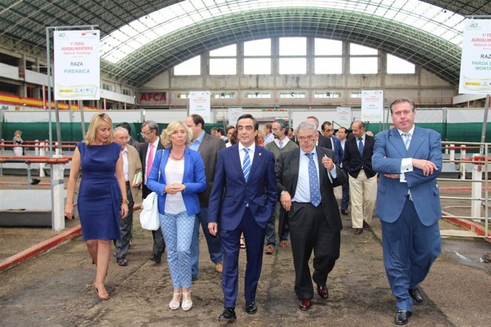 Aniversario Mercado de Ganados