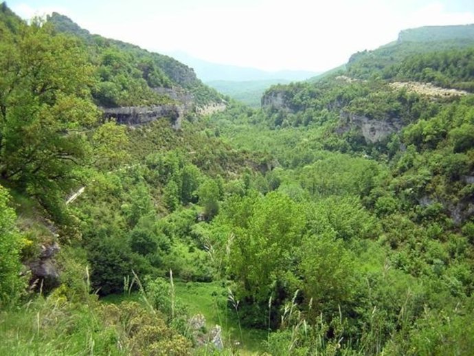 El parque natural de izki en alava