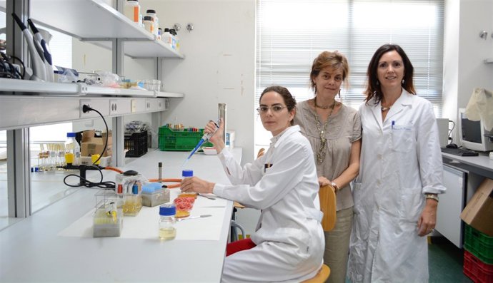 Investigadores de Agrónomos utilizan la miel como conservante natural de carne 