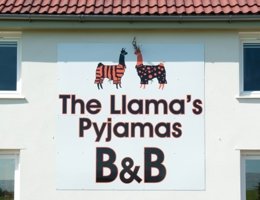 Hotel llamas