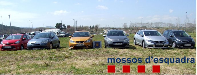 Coches intervenidos en la operación