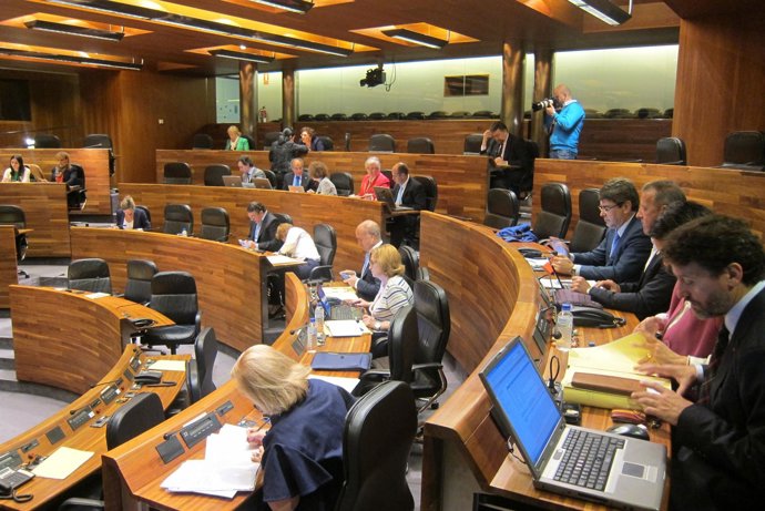 Pleno de la Junta General del Principado