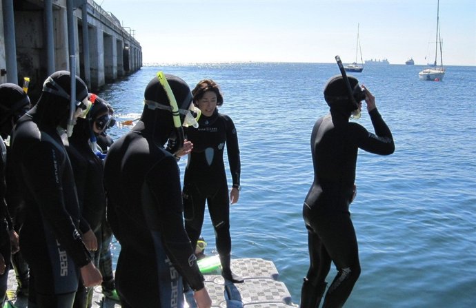 Curso de Buceo en Chile
