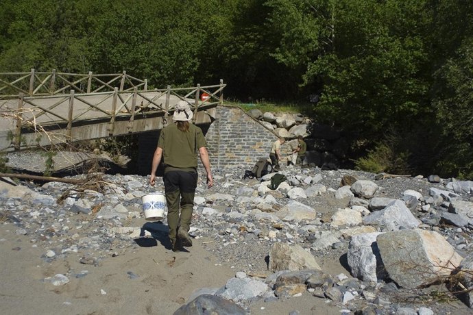 Agentes de Protección de la Naturaleza recatan 217 truchas.