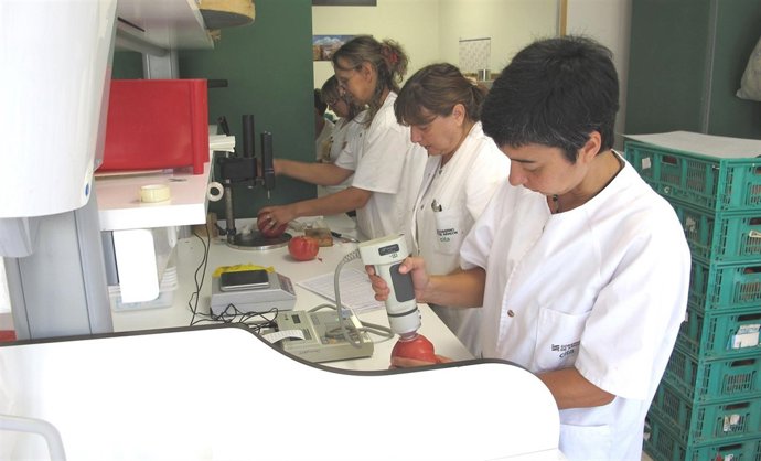 El CITA traba en la demostración de técnicas de mejora de selección del tomate.