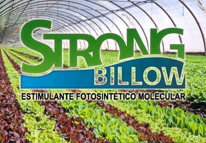 Fertilizante Strong Billow