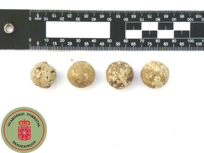 Las cuatro balas de mosquete requisadas