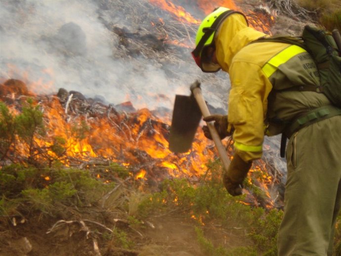Brigadistas del MAGRAMA actúan en un incendio en el Puerto del Pico, en 2012