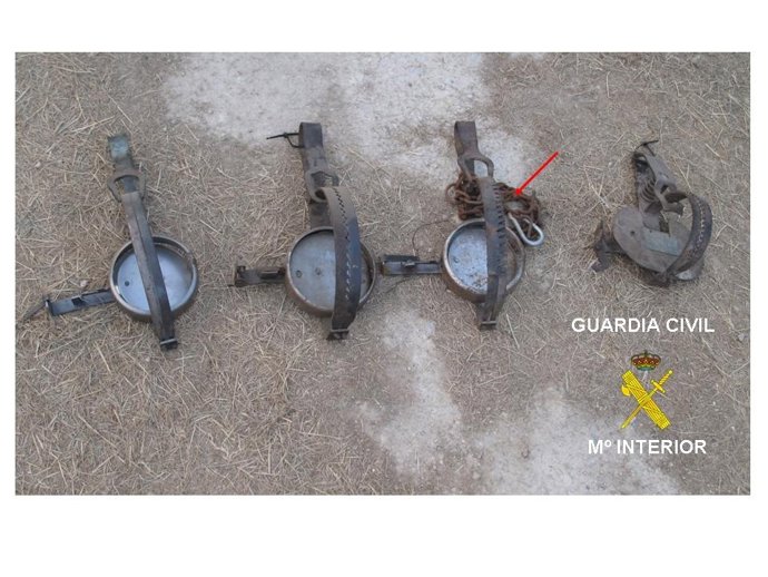 Cepos ocupados a la persona detenida.