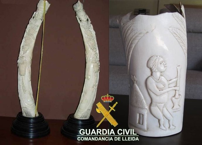 Esculturas De Marfil Decomisadas