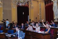 El Parlament valida el Decreto de movilidad de funcionarios, con el rechazo de la oposición