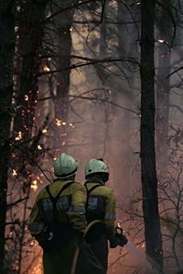 Dos bomberos realizan labores de extinción de un incendio forestal anterior