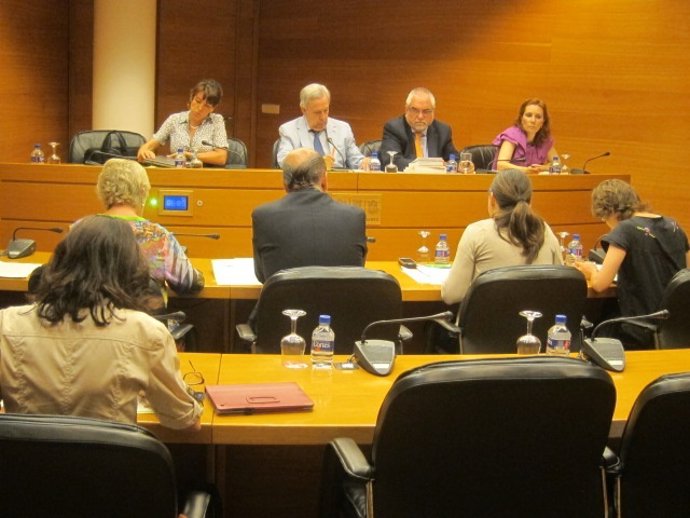 Comisión de Coordinación, Organización y Régimen de las Instituciones