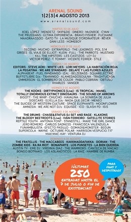 Cartel Arenal Sound 2013