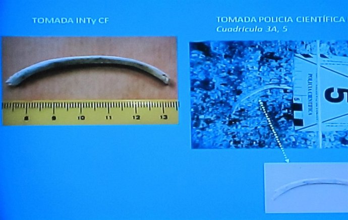 Uno de los huesos examinados por los peritos y cómo apareció en la hoguera
