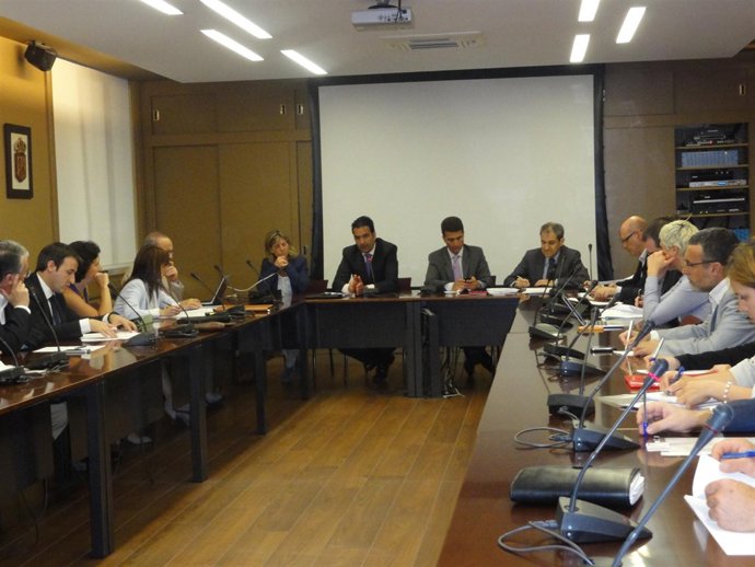 Reunión del Consejo Navarro de Bienestar Social