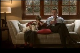 Campaña en contra del abandono animal ¿te abandonaría el por unas vacaciones?