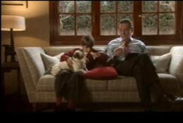 Campaña en contra del abandono animal ¿te abandonaría el por unas vacaciones?