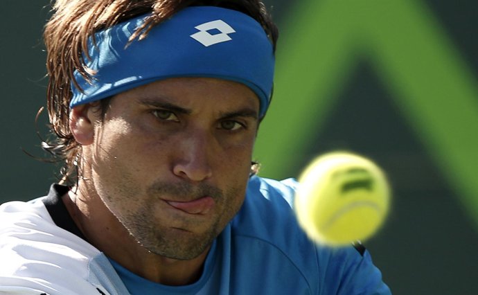 David Ferrer 