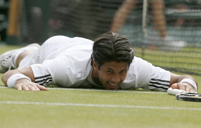 Fernando Verdasco cae en los cuartos de final de Wimbledon