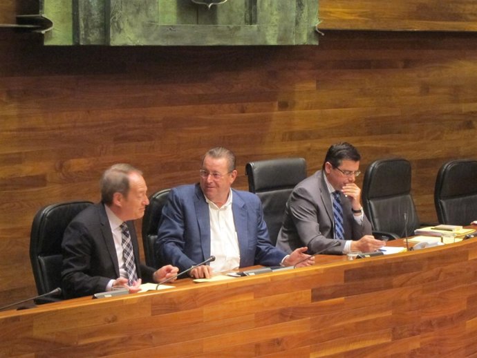 Pleno de la Junta General del Principado