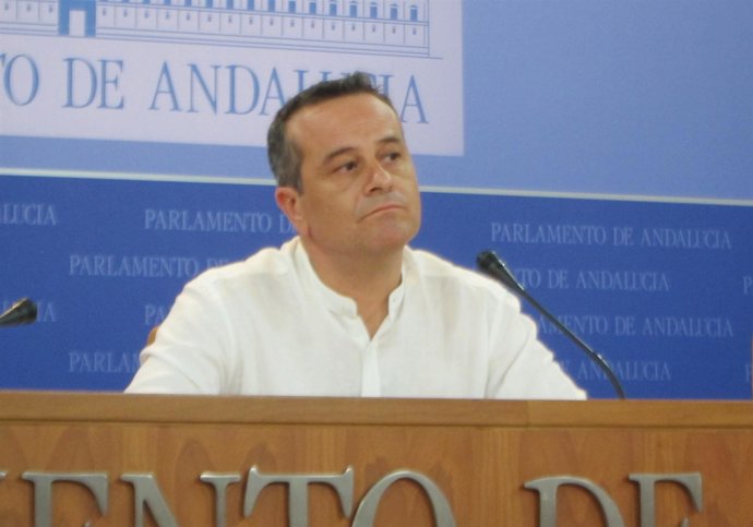 El portavoz de IULV-CA, José Antonio Castro, hoy en rueda de prensa