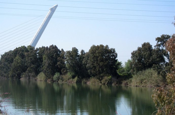 Dársena del río Guadalquivir en Sevilla