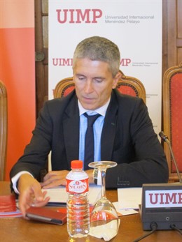 Fernando Grande-Marlaska