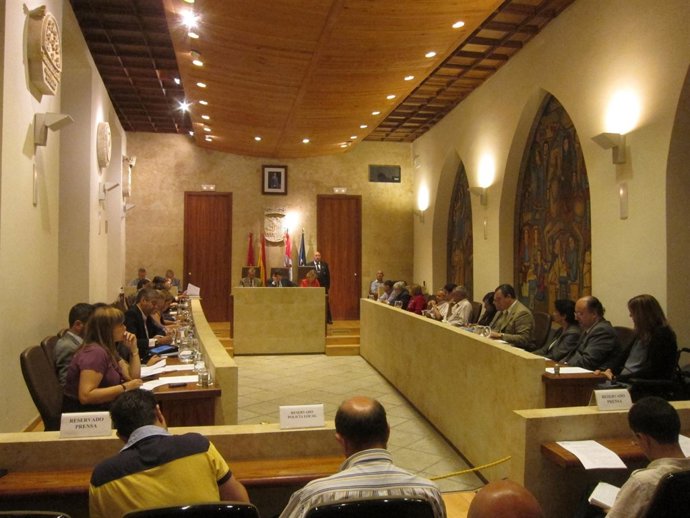 Pleno del Ayuntamiento 