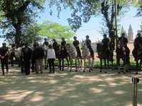 Doce jinetes de Caballería de la Policía Nacional colaboran en la prevención de incendios forestales en Galicia
