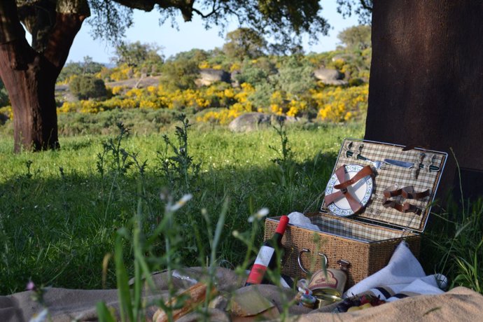 Picnic en el campo