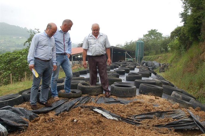 Venta, Felgueres y Egocheaga 