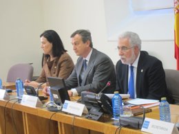 González Bueno Cajas