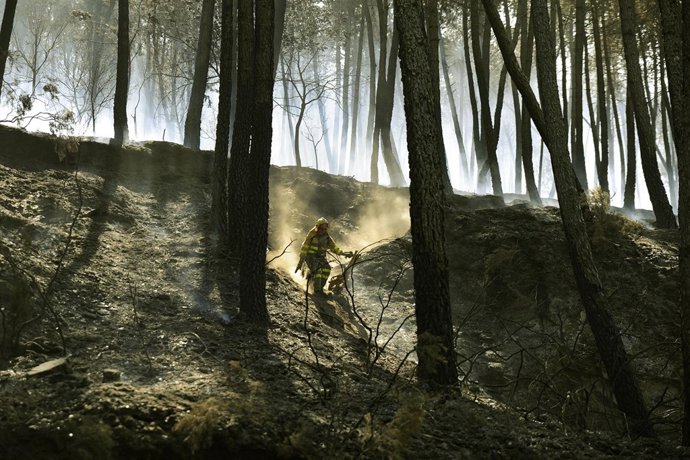LAZA (OURENSE): 05/07/13: INCENDIO EN PINAR DE SOUTELO VERDE (LAZA). FOTO ROSA V