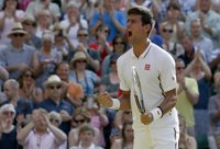Djokovic somete a Del Potro y accede a la final