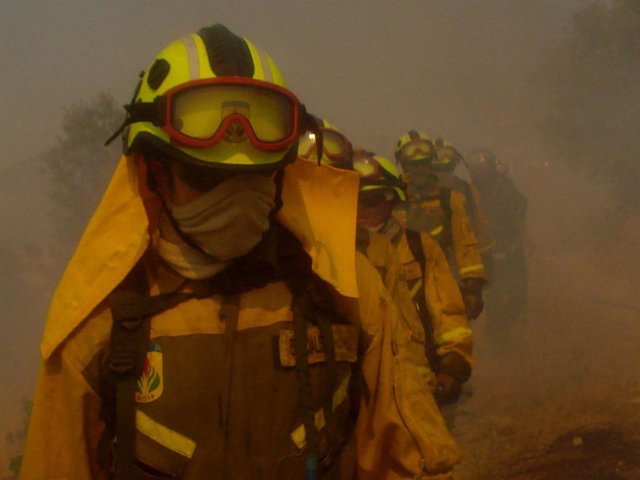 Brigadista lucha contra el fuego en un incendio forestal