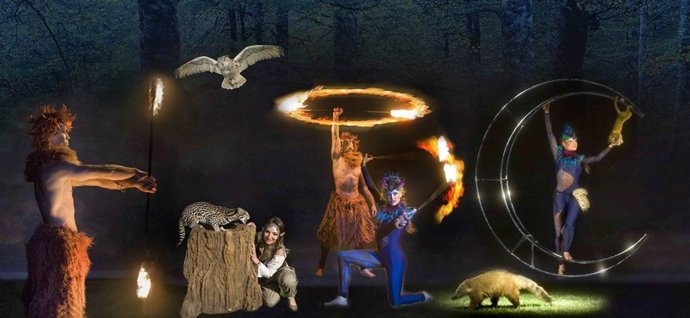 Espectáculo nocturno de Sendaviva