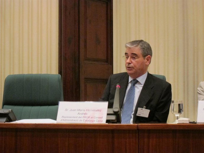 Juan María Hernández, exrepresentante del Frob en CatalunyaCaixa