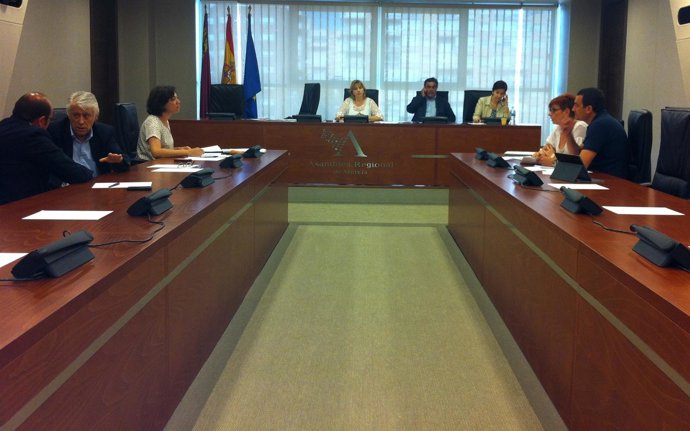 Comisión Especial Discapacitados Asamblea Regional