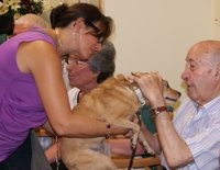 Investigadores estudian un nuevo mecanismo de la terapia del Alzheimer