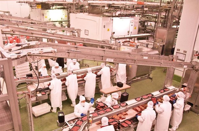 Planta de Martínez Loriente