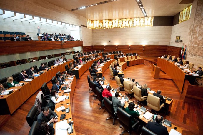 Pleno En La Asamblea De Extremadura