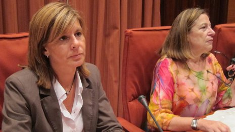 Comisión de Bienestar Social en el Parlament