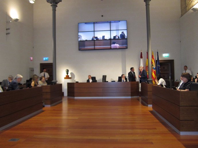 Pleno de la Diputación de Zaragoza (DPZ)
