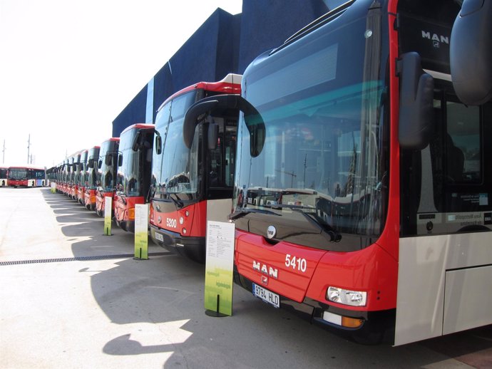 Busos urbans de Transports Metropolitans de Barcelona (TMB)