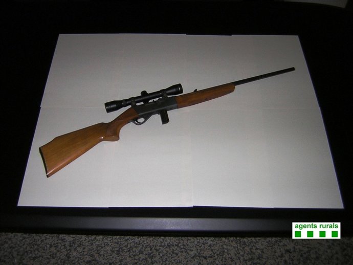 L'arma del calibre 22